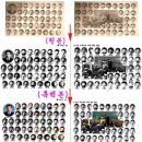 금양초등학교