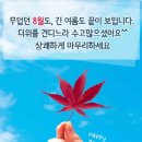 8월 31일(토) 출석글/8월을 보내며~ 이미지