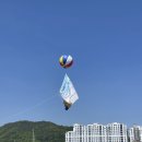 함평) 나비대축제 : 100주년 어린이날 맞이 24회 함평나비대축제 (BC카드할인,2천원쿠폰,기차표예매)