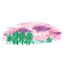 펌킨파트너스