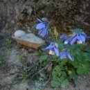 지리산터널펜션 이미지