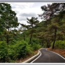 오월에민박 이미지