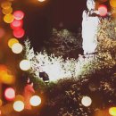 태평성대 이미지