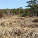 나무해담 이미지