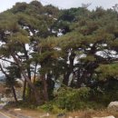 큰가내마을 이미지