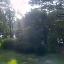 솔향기 펜션 | 속리산 감성 제대로 충전 완료! 찐힐링 오지는 솔향기펜션 후기