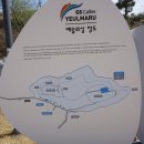 진섬(장도) Daum카페
