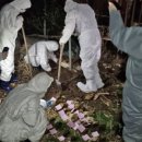 학의농장 이미지