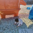 기라성목장 | 27개월 아기랑 변산 부안 1박2일 여행 / 기라성-새만금환경생태단지-연화문호텔-채석강-마식당-부안누에...