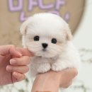 청도메디컬 이미지