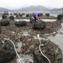 남포마을 이미지