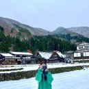 예산군 버스투어 | 나고야 시라카와고 버스투어 업체 비교 할인 다녀온 후기