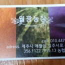 월광농장 이미지