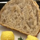 윌로뜨 티스토리