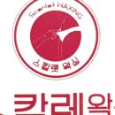 스칼렛왁싱