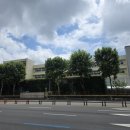 노안중학교 | 미국유학과 강남 대치동 8학군 둘 다 경험한 비교 후기