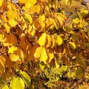 건지보건진료소 이미지