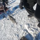 산천어낚시 | 🎣 산천어 얼음낚시 체험 솔직 후기