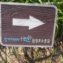 자연생태공원 수변데크 입구 이미지