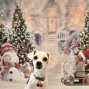 DOG깨비 강아지 미용실 이미지