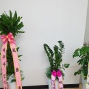 정희조 행정사 사무소 이미지