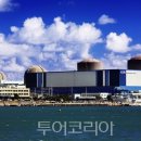 제주 휴리조트1 이미지