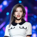 빼꼼낼름 이미지