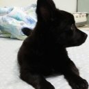 인선농장 이미지