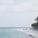 아침해변 | [인도네시아 롬복] 승기기(셍기기) 해변 아침 산책, '수다말라 리조트' 조식 후기