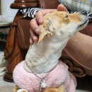 25시 죽곡동물병원 이미지