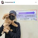 반려문화, 생명사상, 함께하는 민주주의, 사전투표 현장