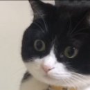 슬로우버드 이미지