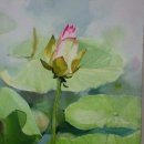 수채화반 이미지