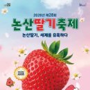 연무체육공원 | 2026 논산딸기축제 완벽 가이드 | 일정·프로그램·꿀팁 총정리