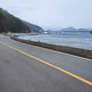 한산면사무소 이미지