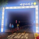 계양아라온 인천 국화축제 야간데이트 계양빛축제