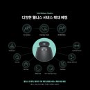 웰니스 펫뷰티 이미지