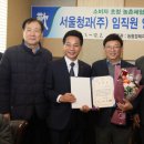 서울청과