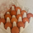 태만농장 이미지