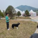 출렁다리농산물 - 원주시 소금산길 88 | 가정의 달 나들이 추천, 한탄강 Y자 출렁다리 솔직 후기