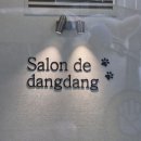살롱드댕댕 이미지