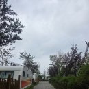 다온숲노을캠핑정원