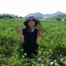 김태순농장 이미지