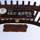 몽산포파인 이미지