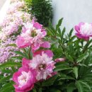 부등  마을회관 이미지