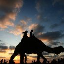 지구촌농장 이미지