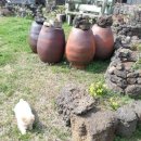 뜨락민박 이미지