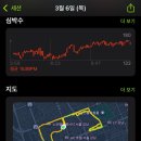 파틀렉 이미지