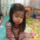 즐거운야채 과일 이미지