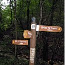 공작산 약수봉 귕소출렁다리 수타계곡 이미지